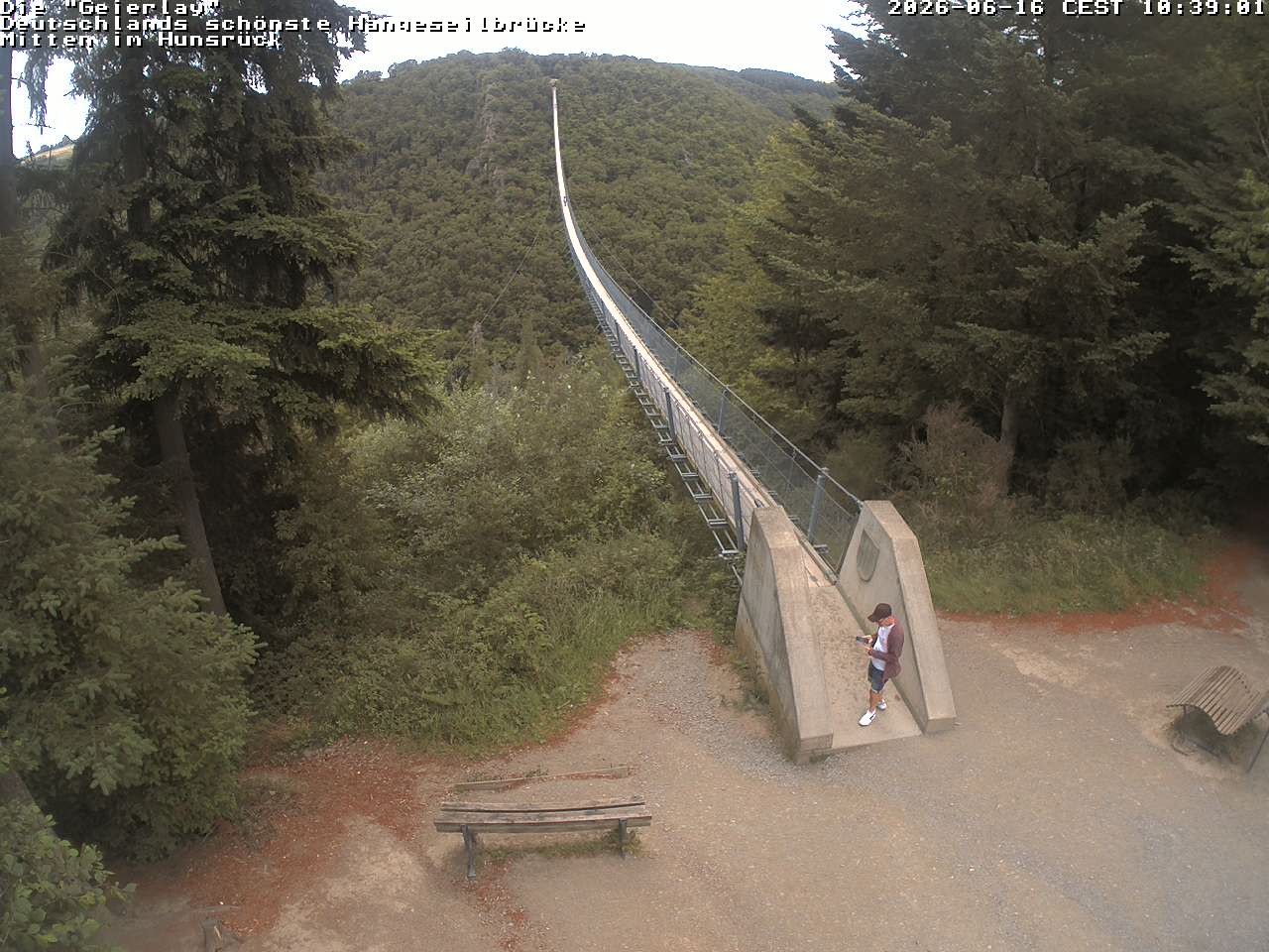 Archiv Foto Webcam Hängebrücke Geierlay bei Mörsdorf