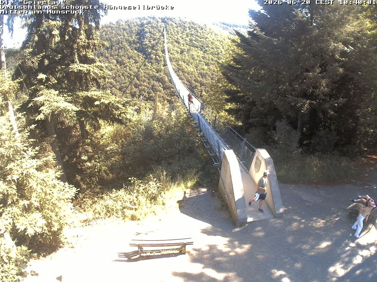 Archiv Foto Webcam Hängebrücke Geierlay bei Mörsdorf