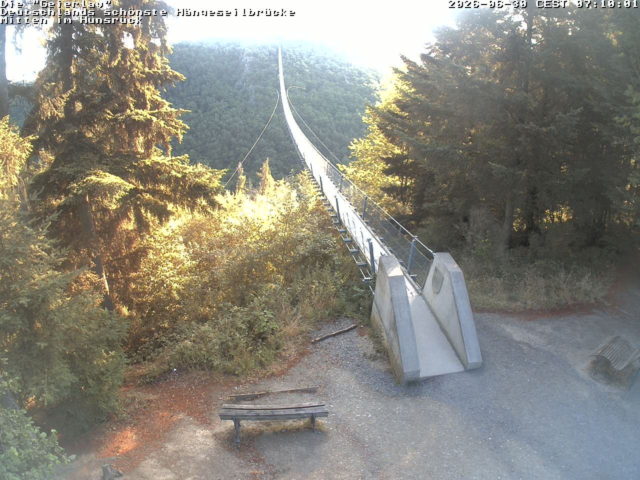 Archiv Foto Webcam Hängebrücke Geierlay bei Mörsdorf