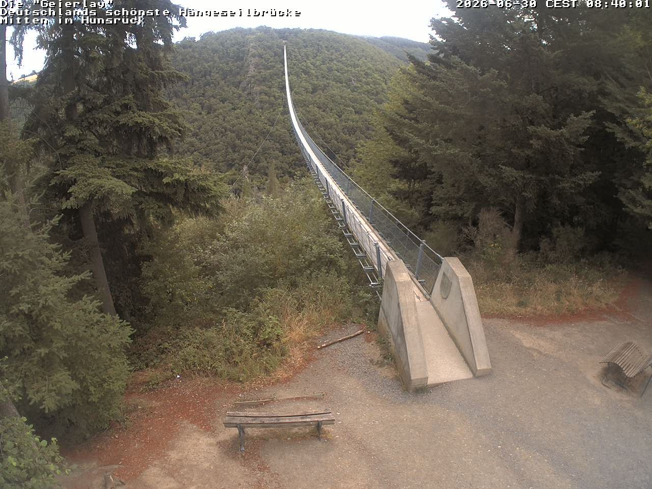 Archiv Foto Webcam Hängebrücke Geierlay bei Mörsdorf