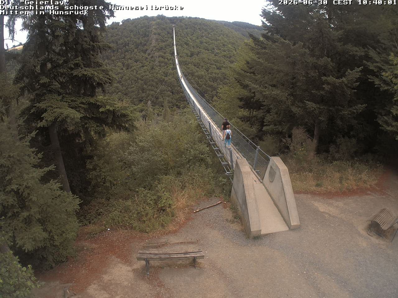 Archiv Foto Webcam Hängebrücke Geierlay bei Mörsdorf