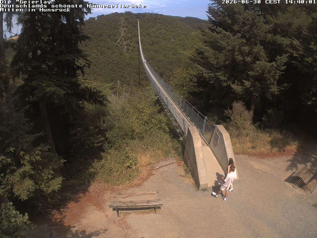 Archiv Foto Webcam Hängebrücke Geierlay bei Mörsdorf