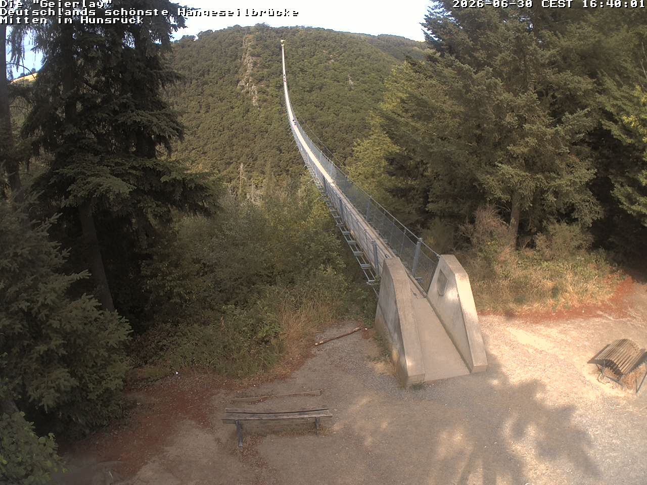 Archiv Foto Webcam Hängebrücke Geierlay bei Mörsdorf
