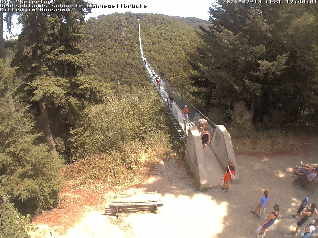 Archiv Foto Webcam Hängebrücke Geierlay bei Mörsdorf