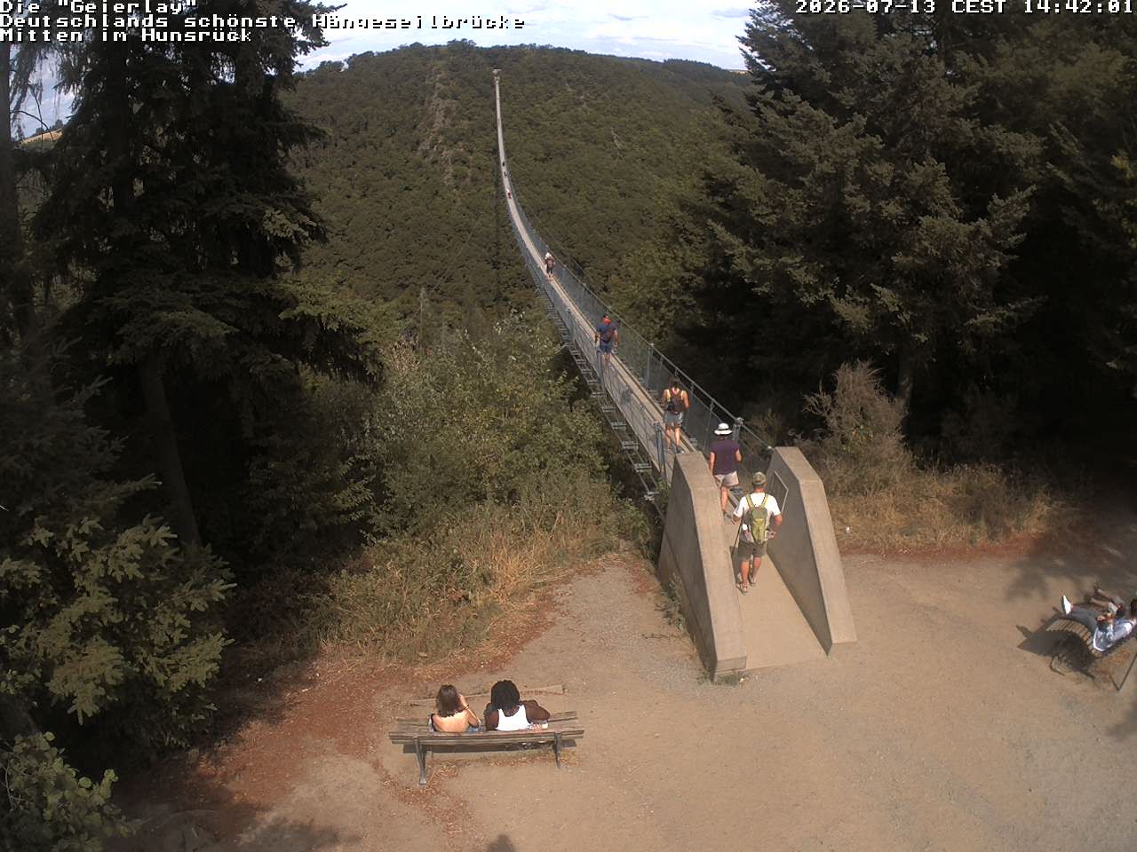 Archiv Foto Webcam Hängebrücke Geierlay bei Mörsdorf