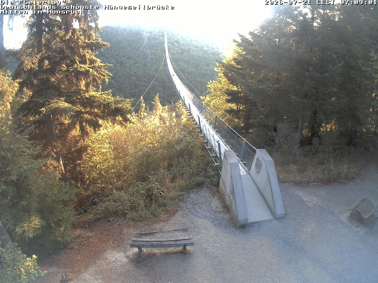 Archiv Foto Webcam Hängebrücke Geierlay bei Mörsdorf