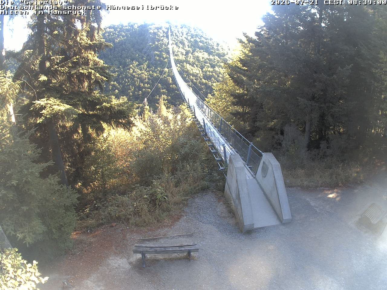 Archiv Foto Webcam Hängebrücke Geierlay bei Mörsdorf