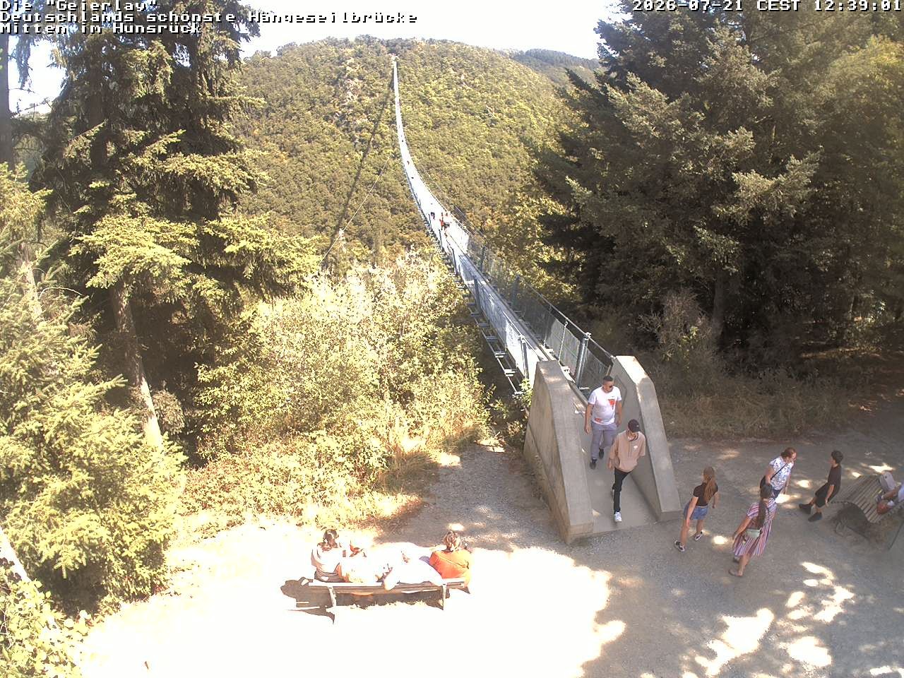 Archiv Foto Webcam Hängebrücke Geierlay bei Mörsdorf