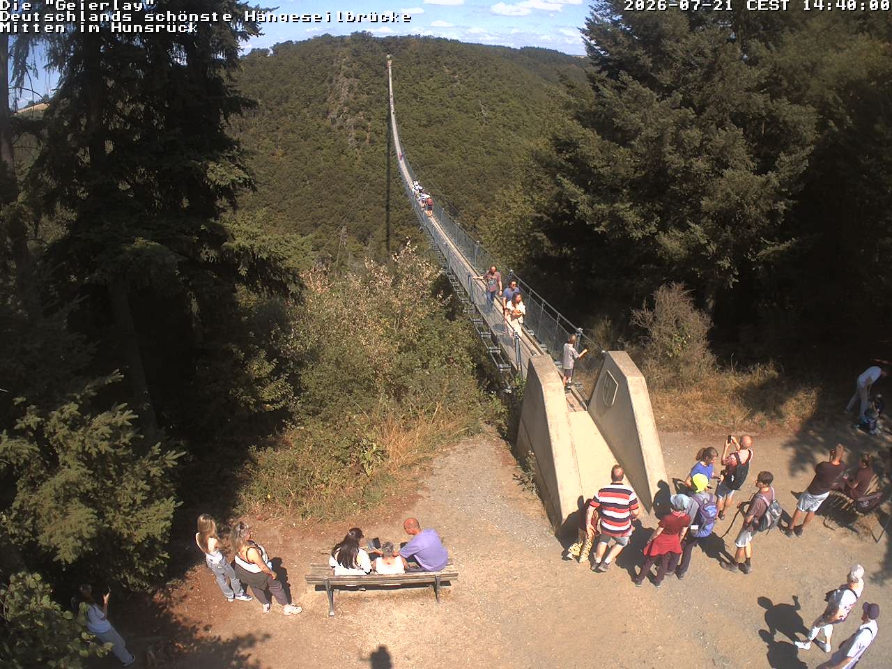 Archiv Foto Webcam Hängebrücke Geierlay bei Mörsdorf