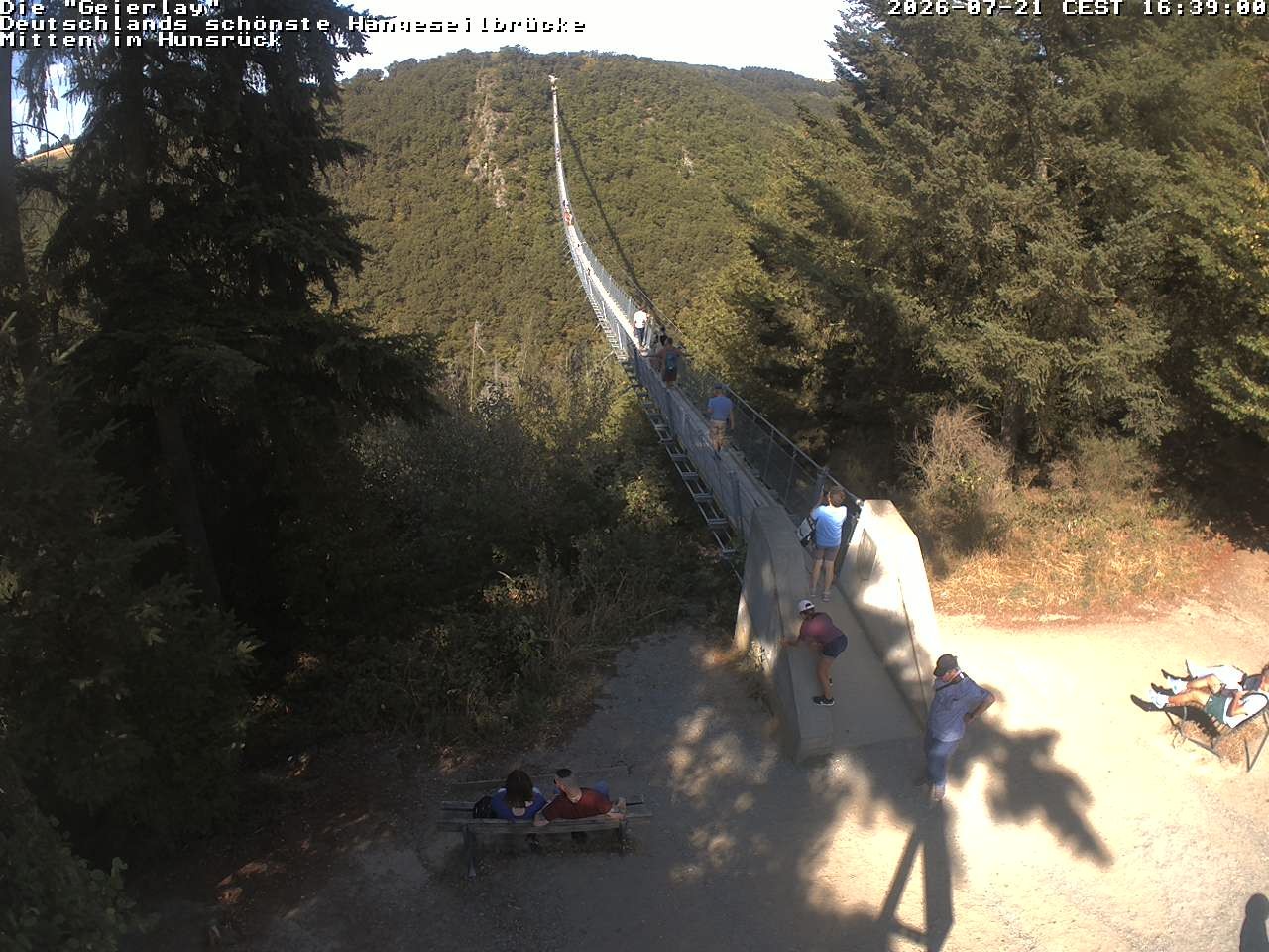 Archiv Foto Webcam Hängebrücke Geierlay bei Mörsdorf