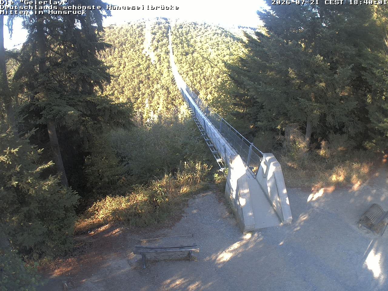 Archiv Foto Webcam Hängebrücke Geierlay bei Mörsdorf