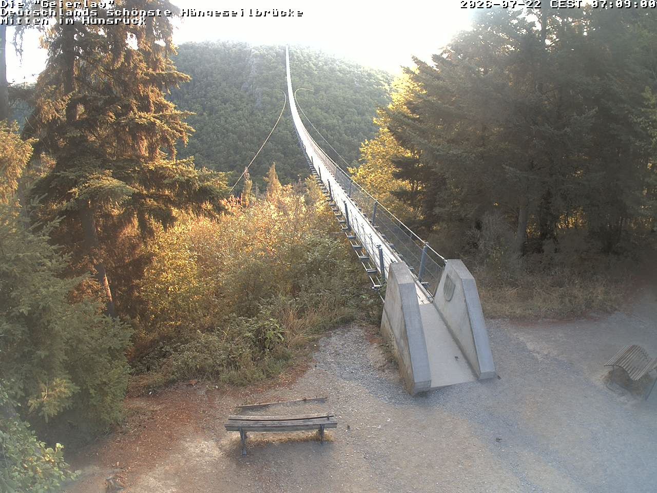 Archiv Foto Webcam Hängebrücke Geierlay bei Mörsdorf