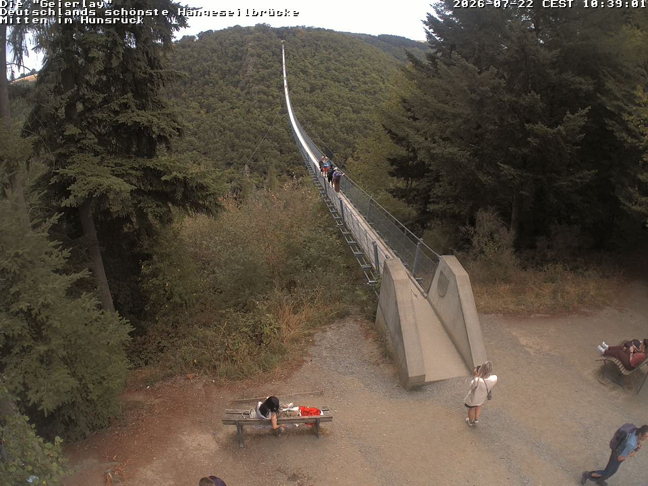 Archiv Foto Webcam Hängebrücke Geierlay bei Mörsdorf