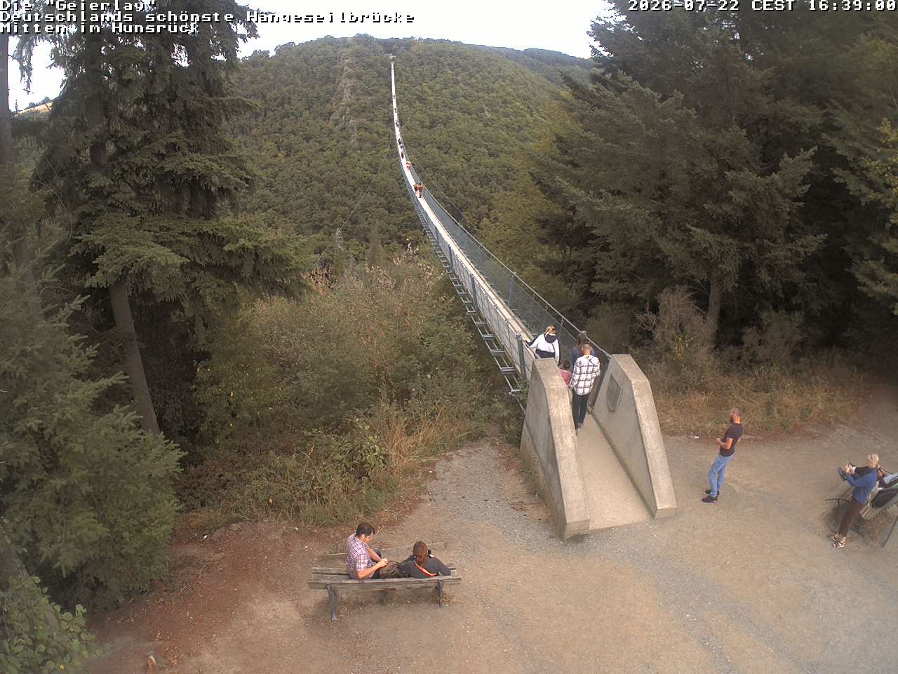 Archiv Foto Webcam Hängebrücke Geierlay bei Mörsdorf