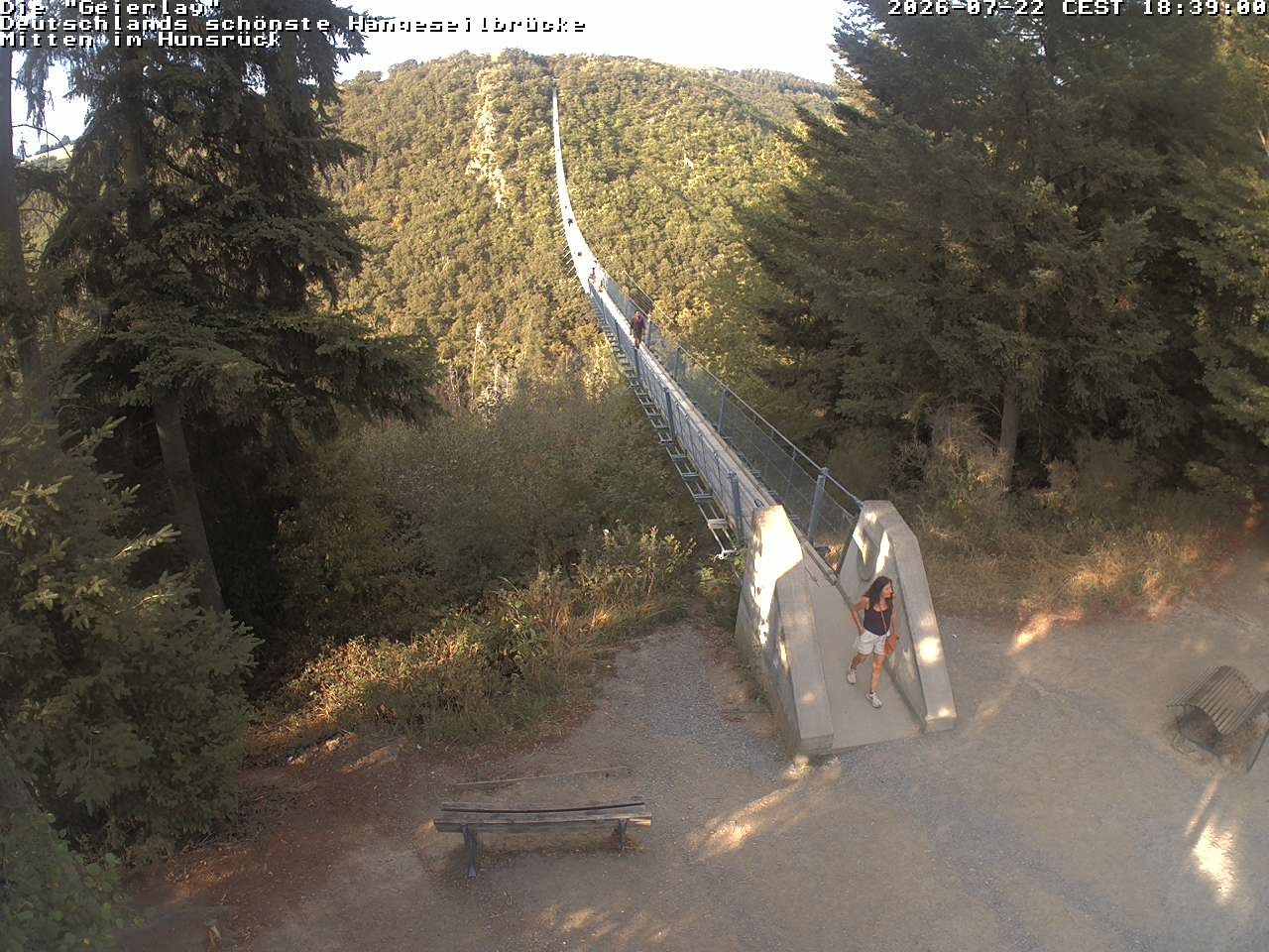 Archiv Foto Webcam Hängebrücke Geierlay bei Mörsdorf