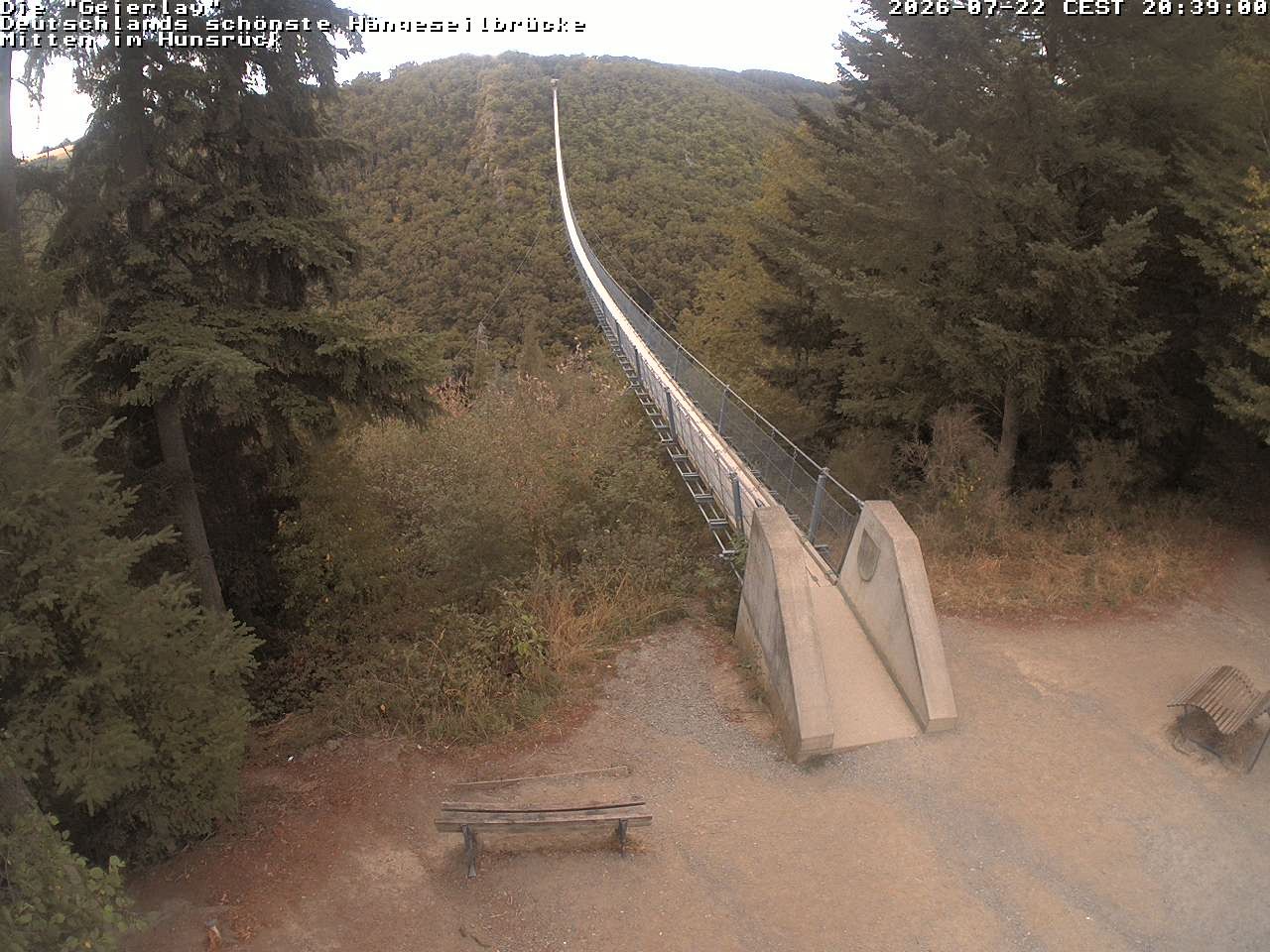 Archiv Foto Webcam Hängebrücke Geierlay bei Mörsdorf