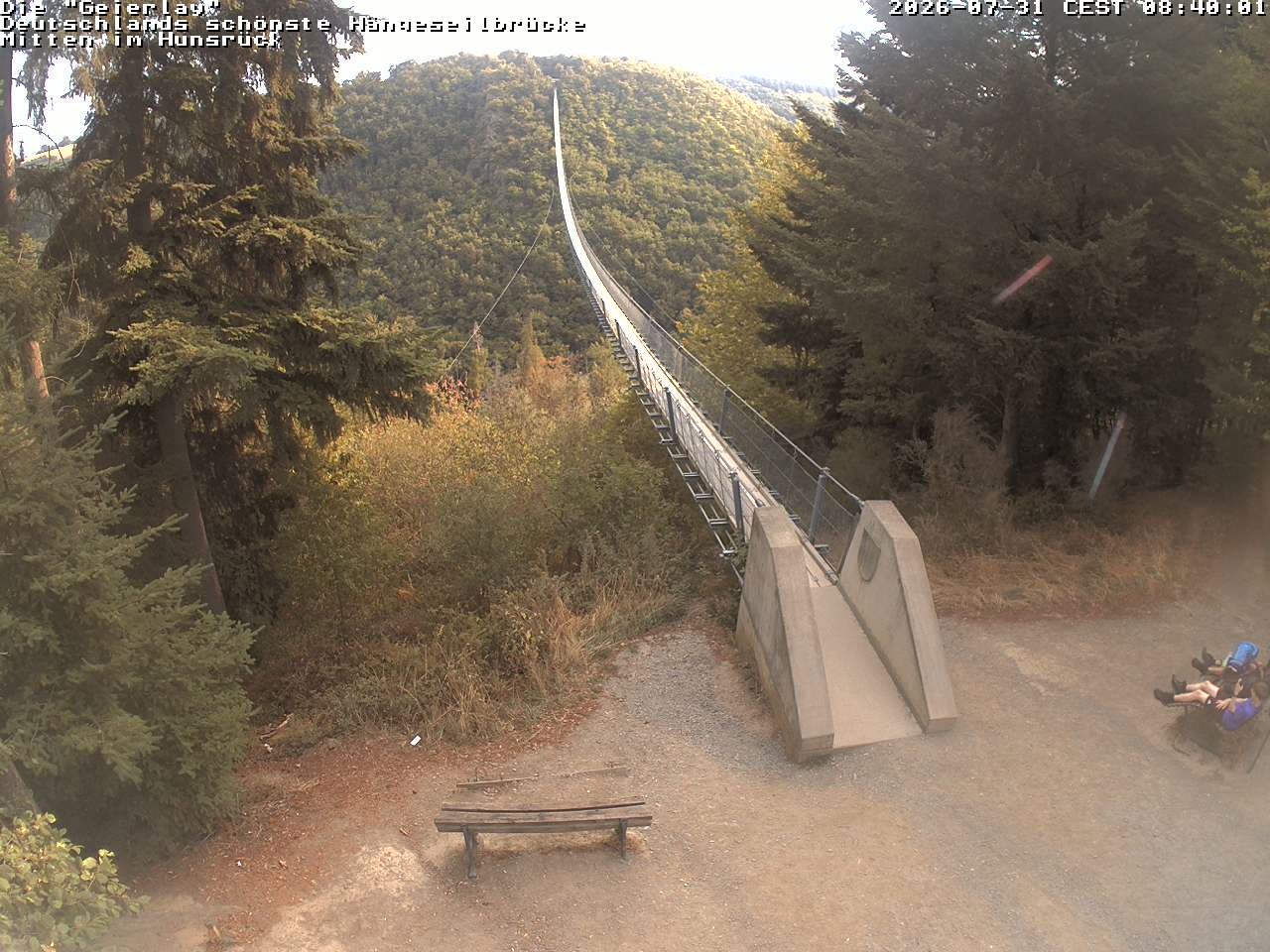 Archiv Foto Webcam Hängebrücke Geierlay bei Mörsdorf