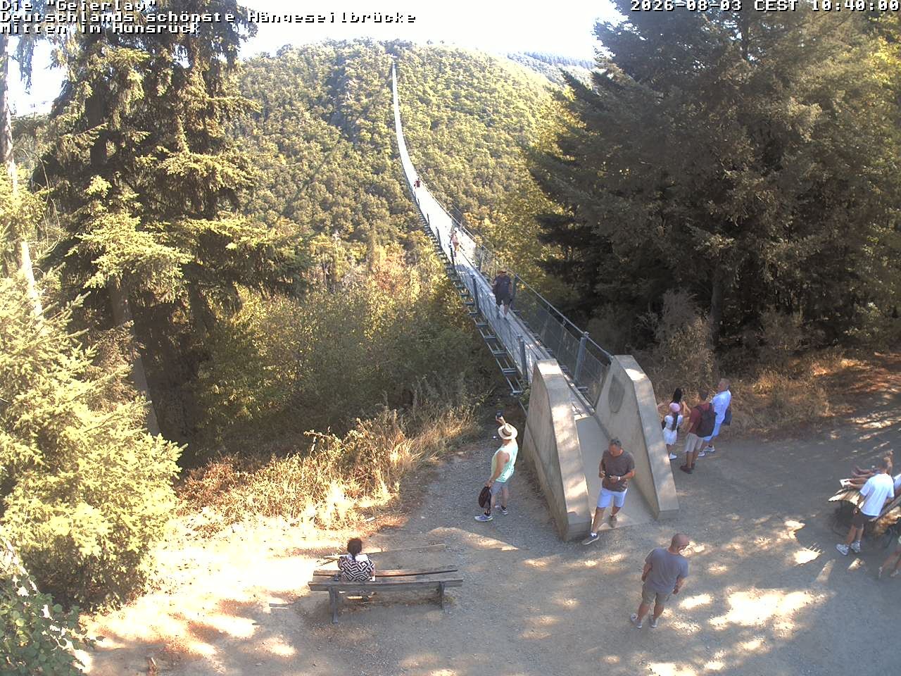 Archiv Foto Webcam Hängebrücke Geierlay bei Mörsdorf