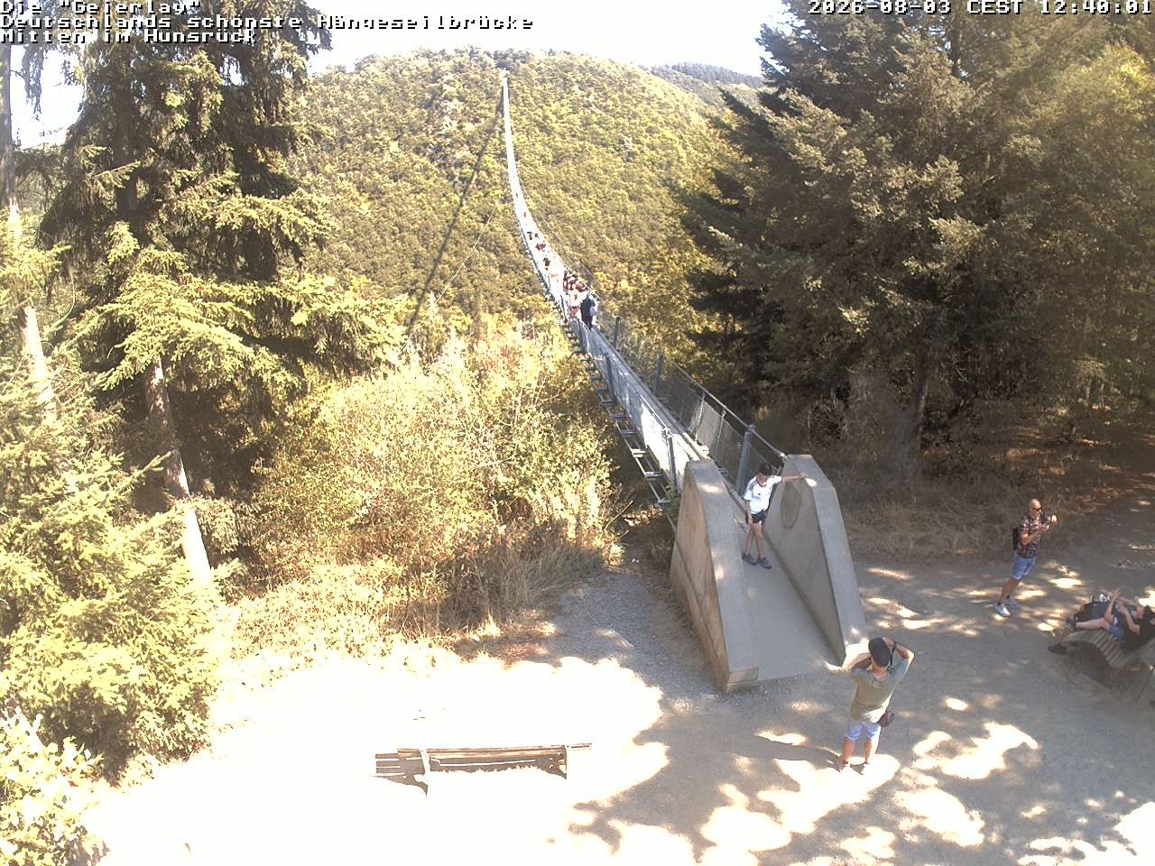 Archiv Foto Webcam Hängebrücke Geierlay bei Mörsdorf