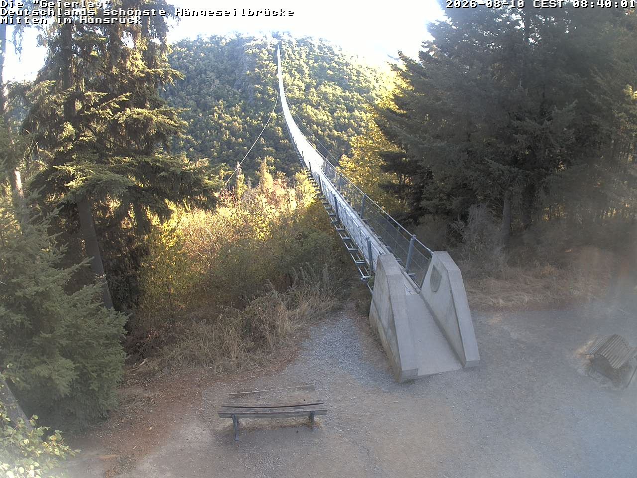 Archiv Foto Webcam Hängebrücke Geierlay bei Mörsdorf