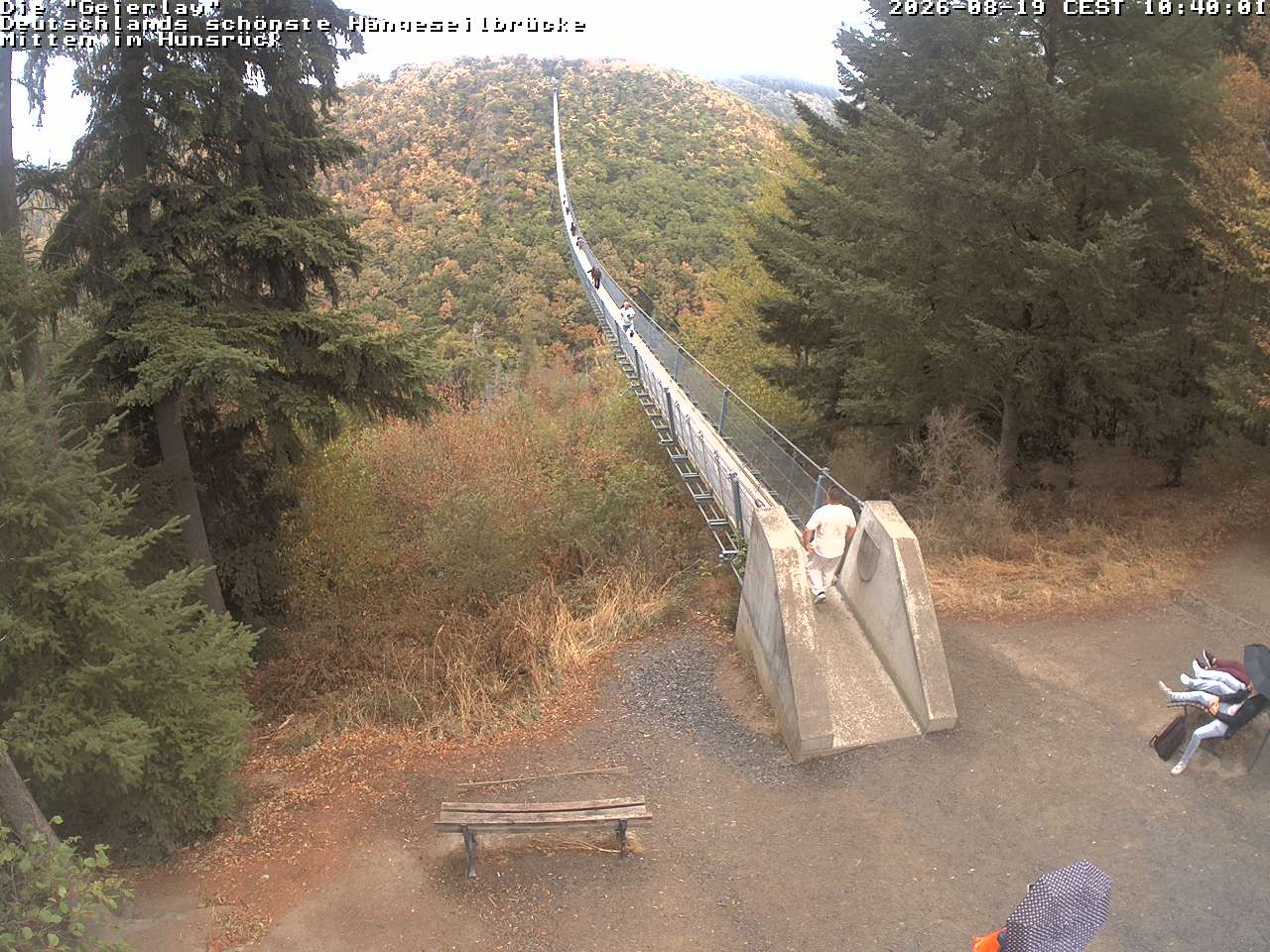 Archiv Foto Webcam Hängebrücke Geierlay bei Mörsdorf