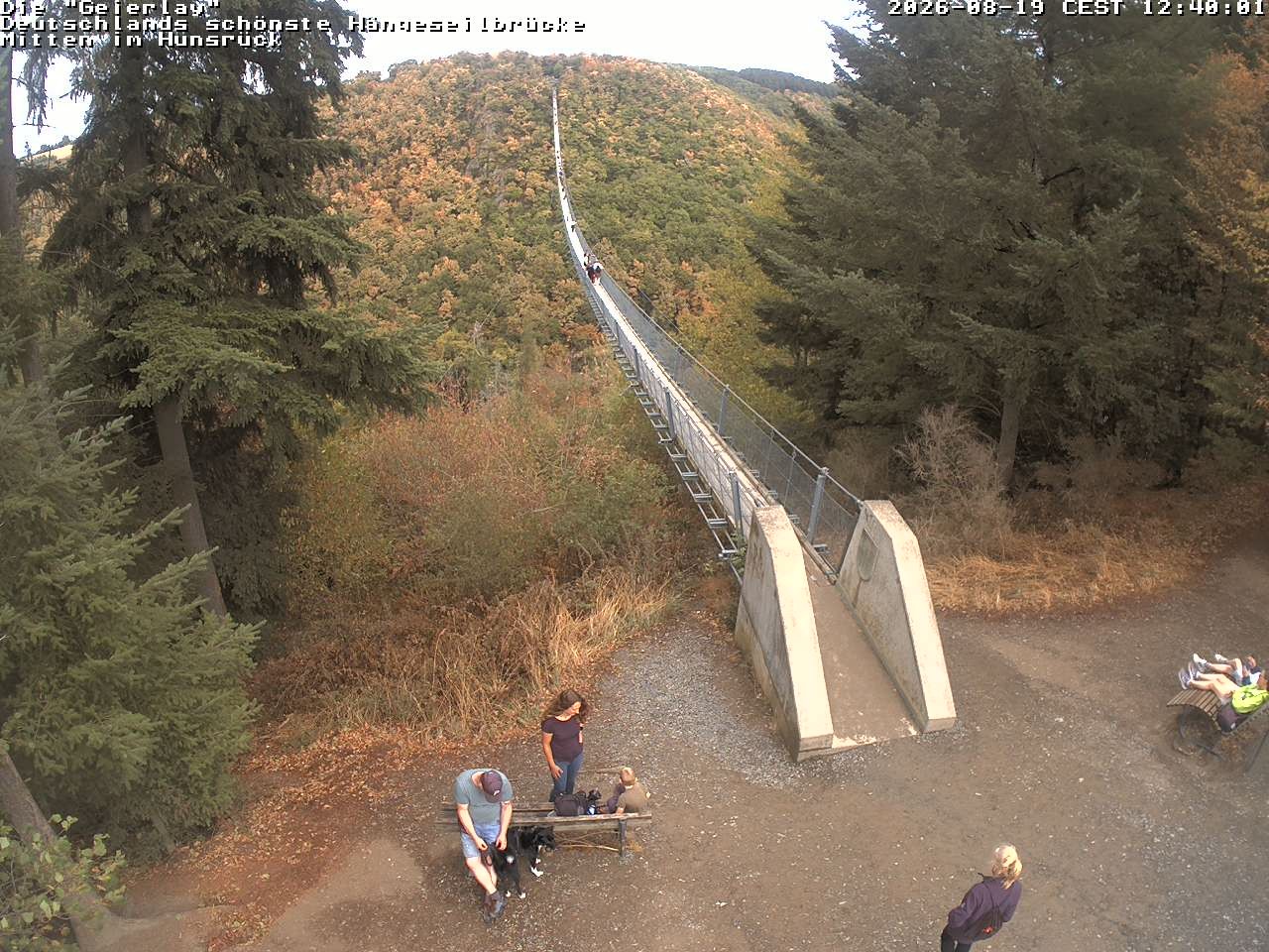 Archiv Foto Webcam Hängebrücke Geierlay bei Mörsdorf