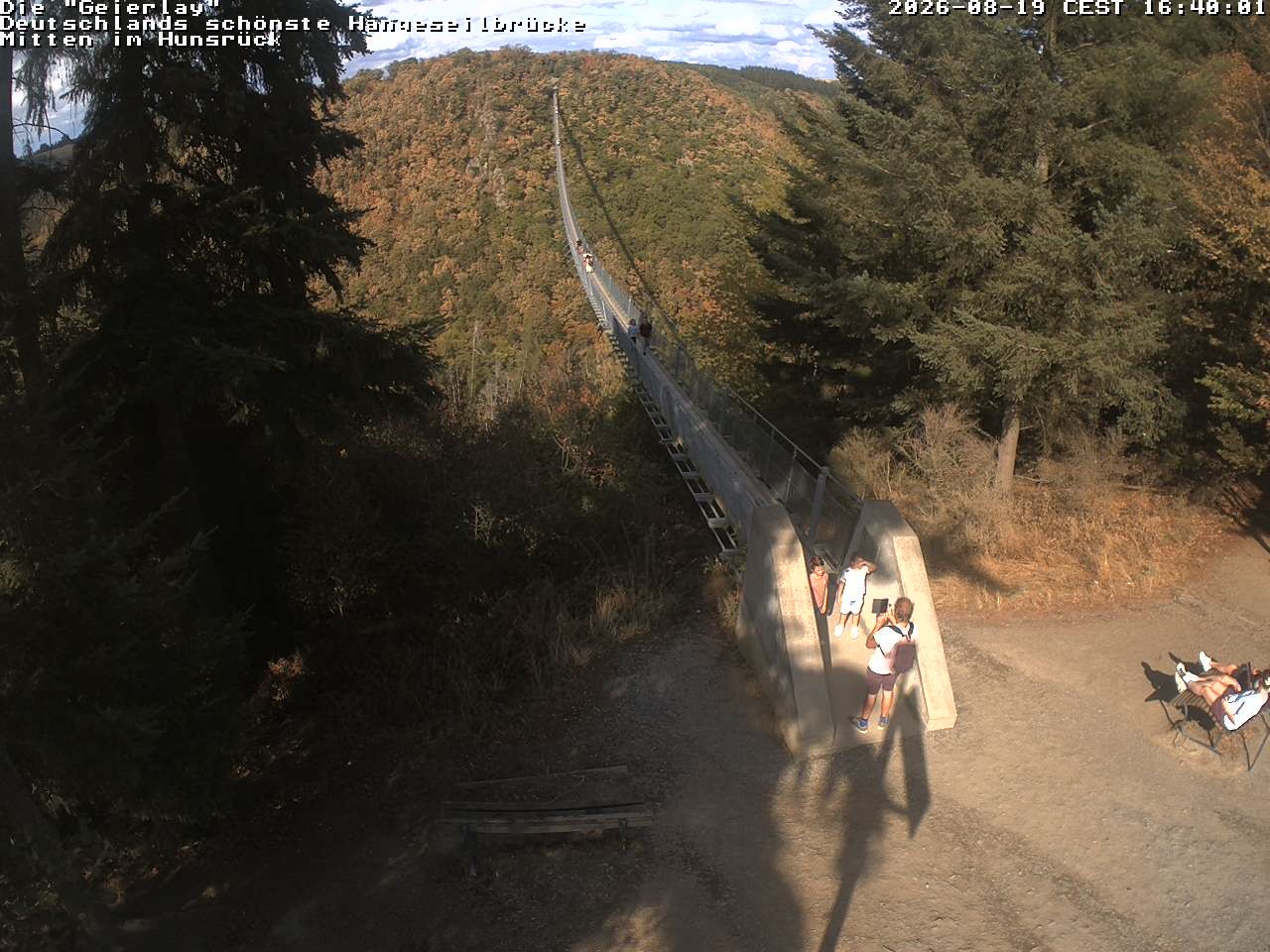 Archiv Foto Webcam Hängebrücke Geierlay bei Mörsdorf