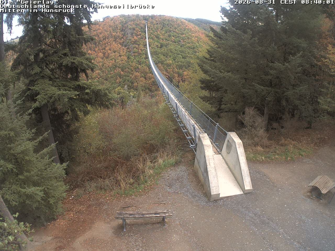 Archiv Foto Webcam Hängebrücke Geierlay bei Mörsdorf