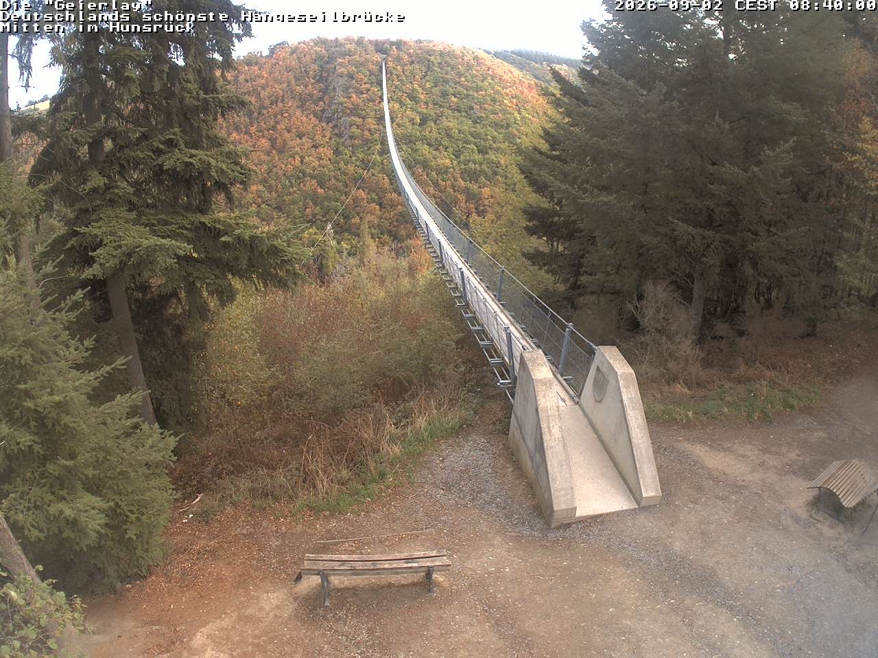 Archiv Foto Webcam Hängebrücke Geierlay bei Mörsdorf