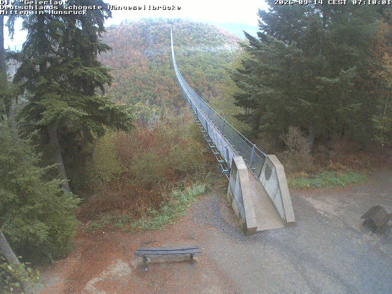 Archived image Webcam Geierlay Suspension Bridge Mörsdorf