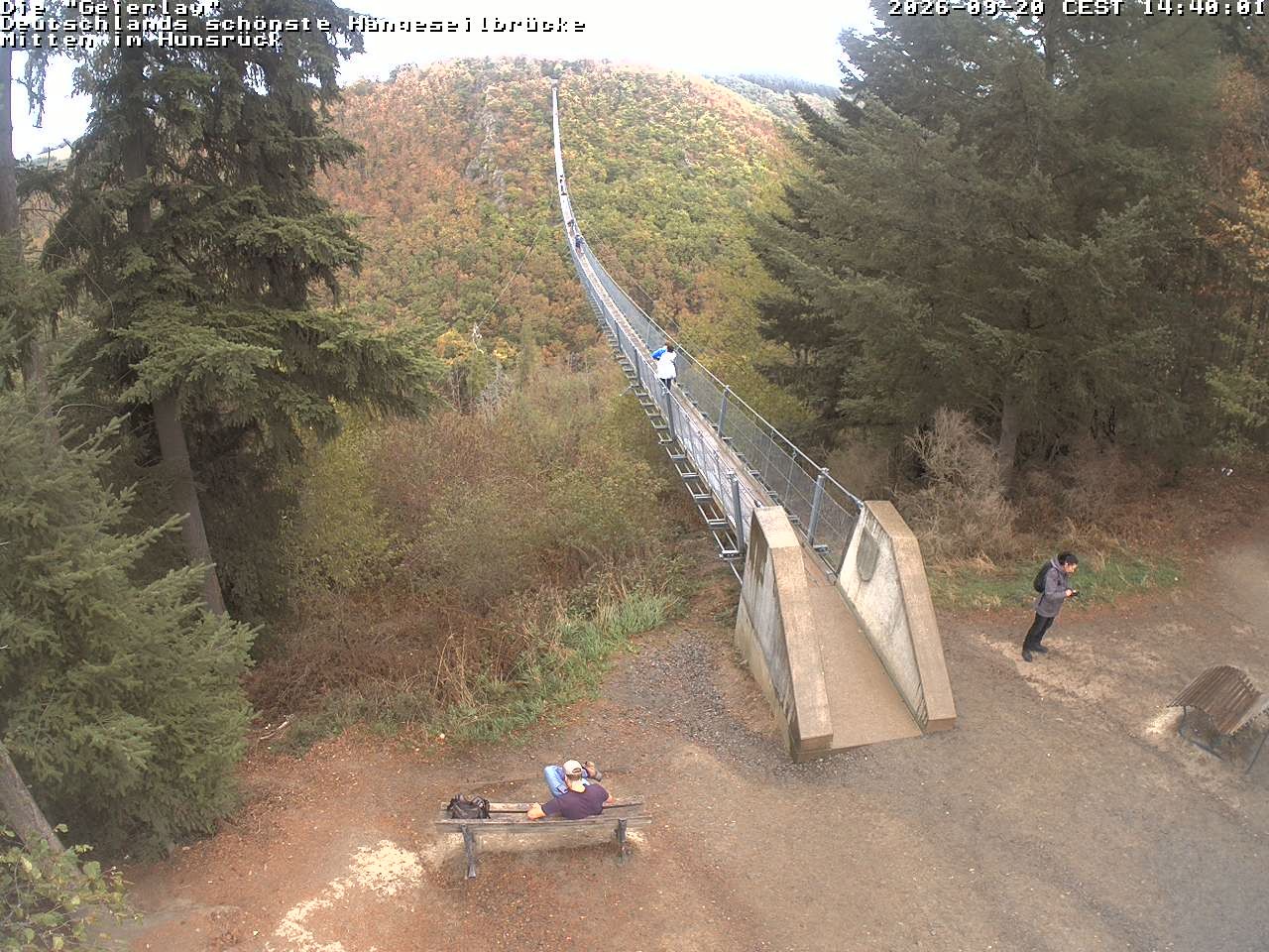 Archiv Foto Webcam Hängebrücke Geierlay bei Mörsdorf