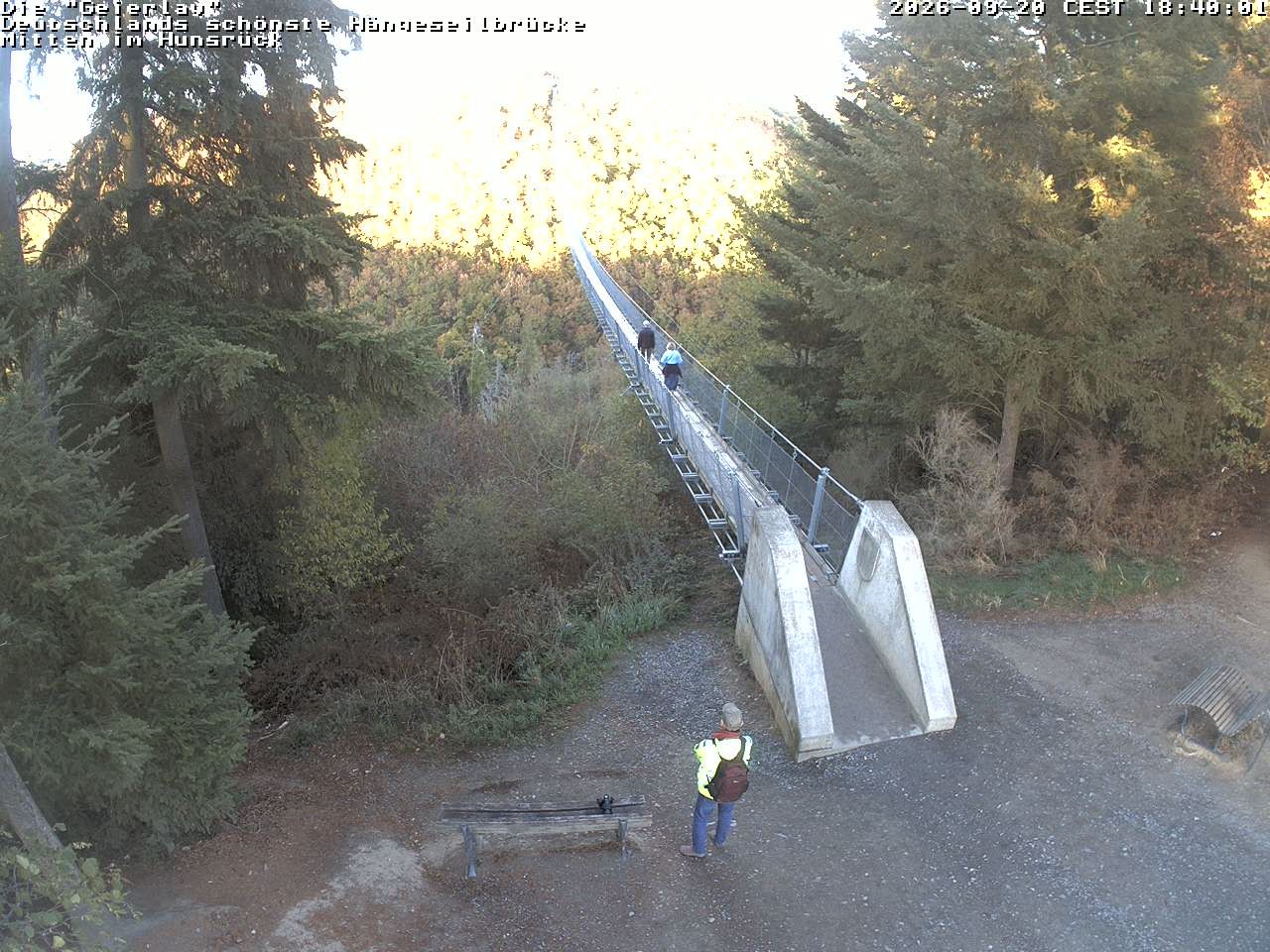 Archiv Foto Webcam Hängebrücke Geierlay bei Mörsdorf