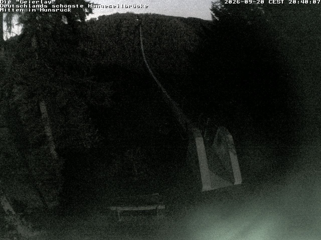 Archiv Foto Webcam Hängebrücke Geierlay bei Mörsdorf