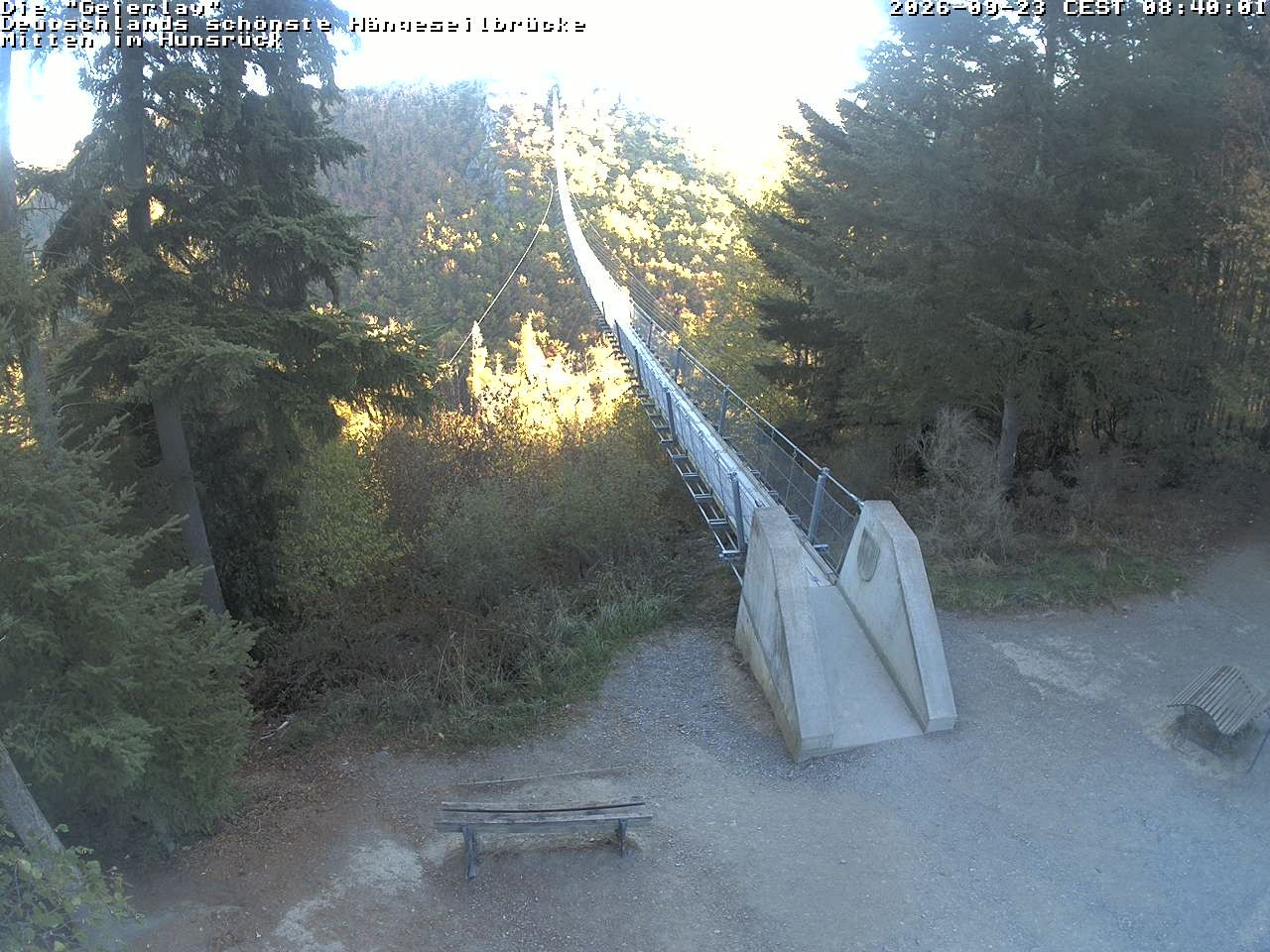 Archiv Foto Webcam Hängebrücke Geierlay bei Mörsdorf