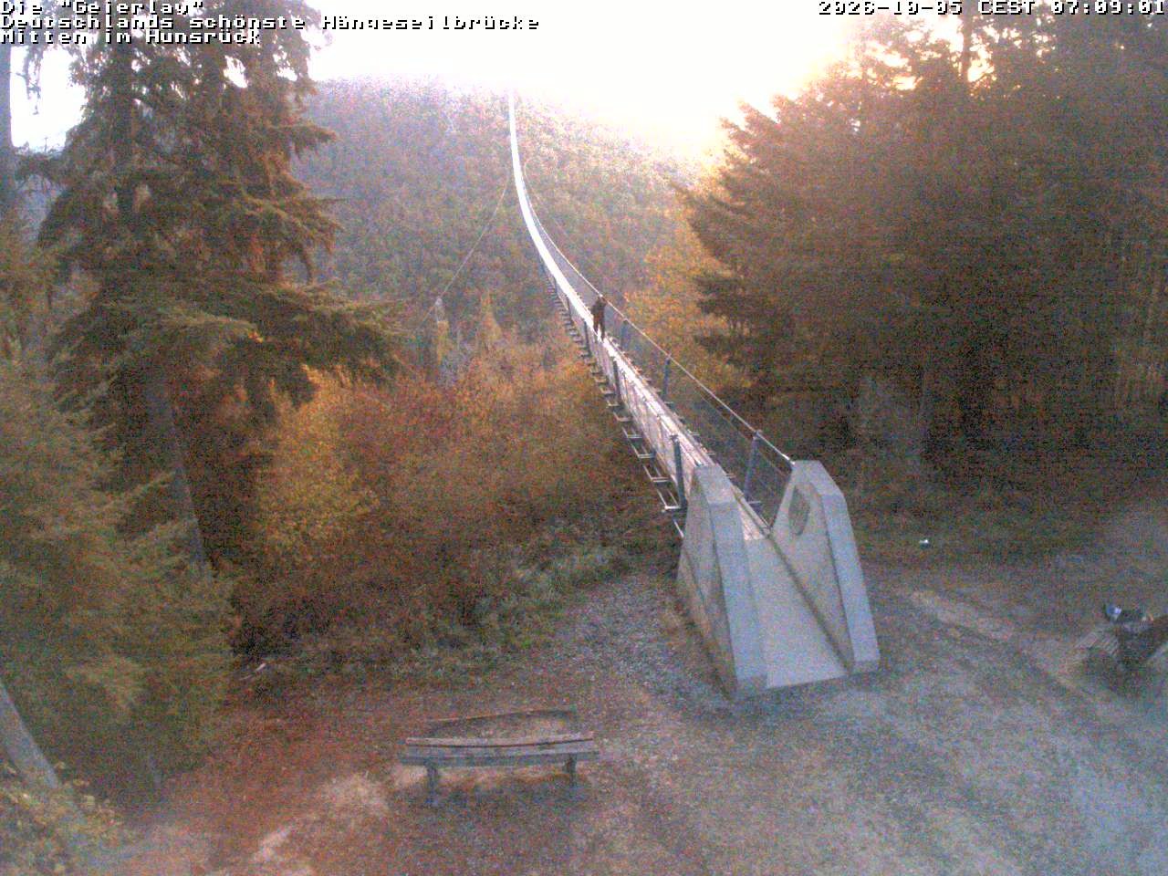 Archiv Foto Webcam Hängebrücke Geierlay bei Mörsdorf