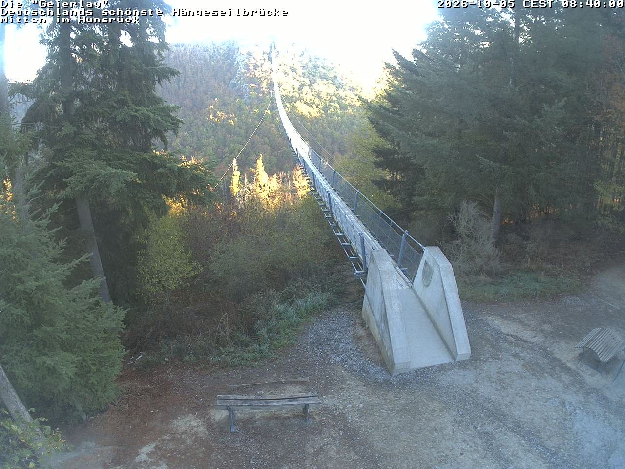 Archiv Foto Webcam Hängebrücke Geierlay bei Mörsdorf