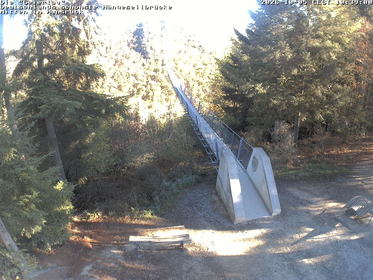 Archiv Foto Webcam Hängebrücke Geierlay bei Mörsdorf