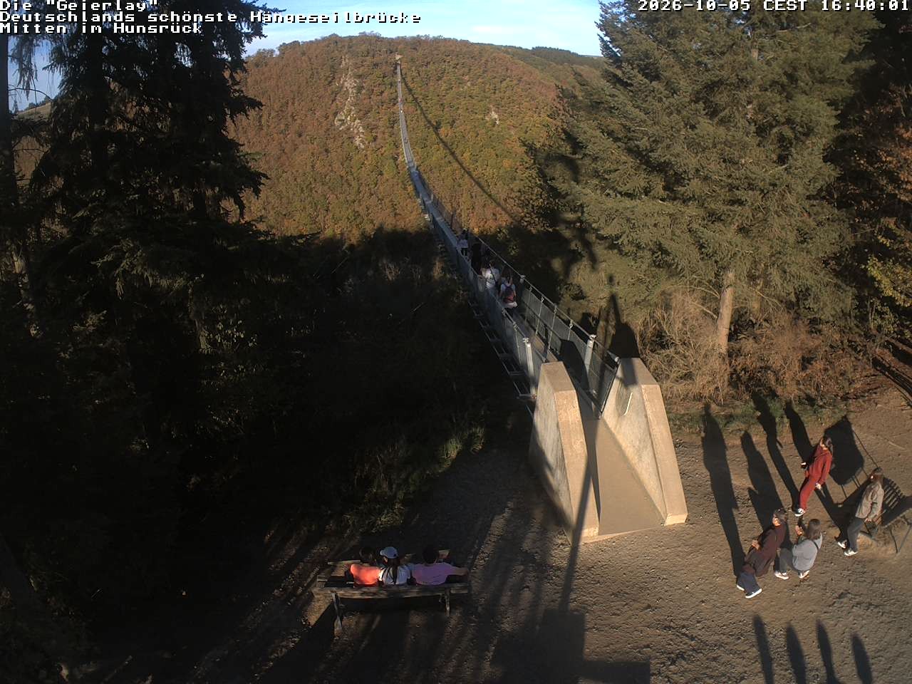 Archiv Foto Webcam Hängebrücke Geierlay bei Mörsdorf