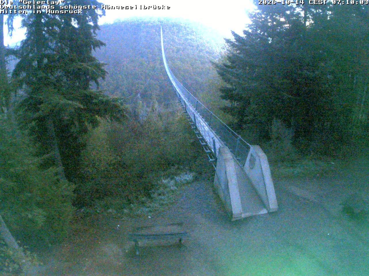 Archiv Foto Webcam Hängebrücke Geierlay bei Mörsdorf