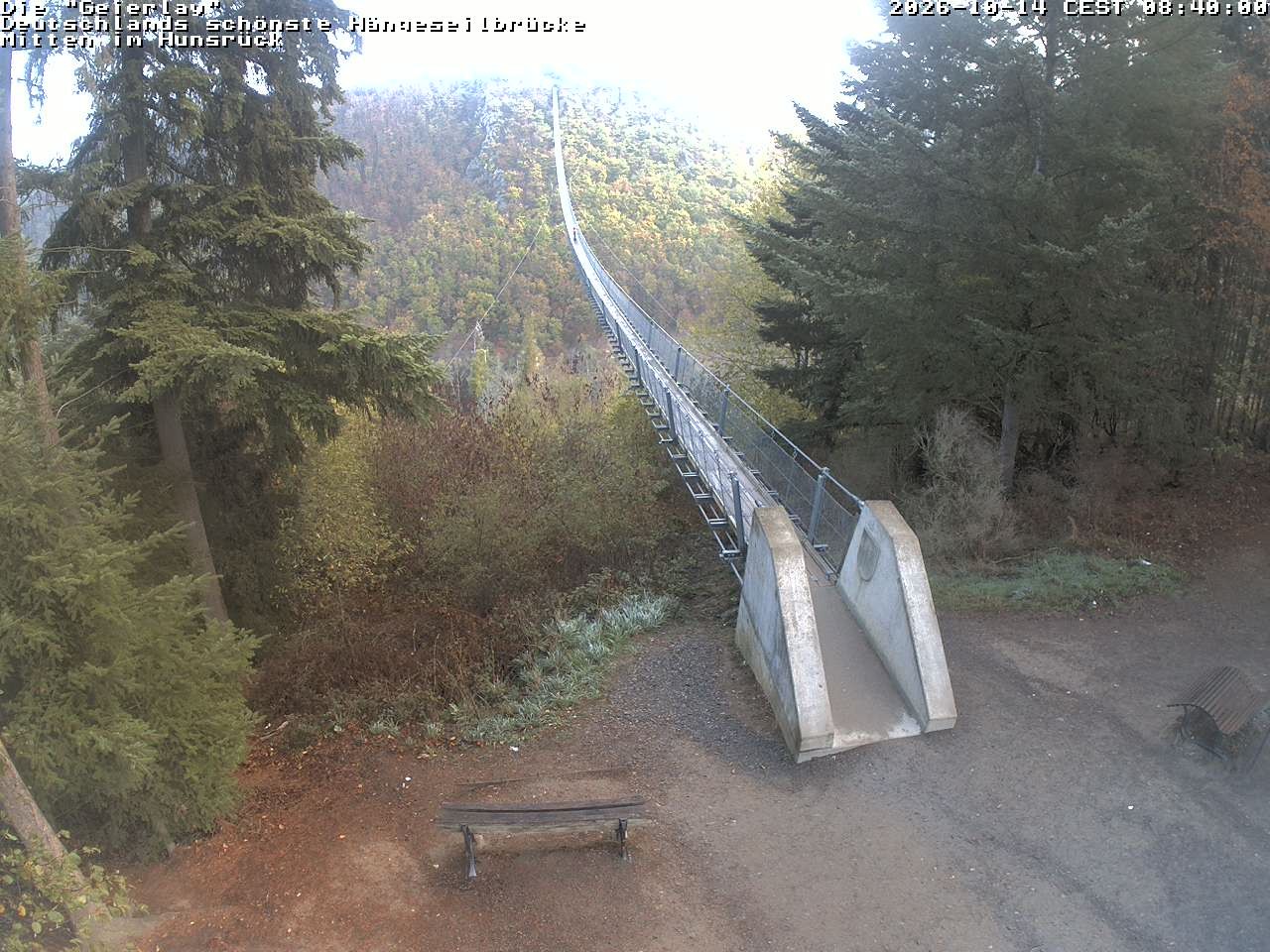 Archiv Foto Webcam Hängebrücke Geierlay bei Mörsdorf