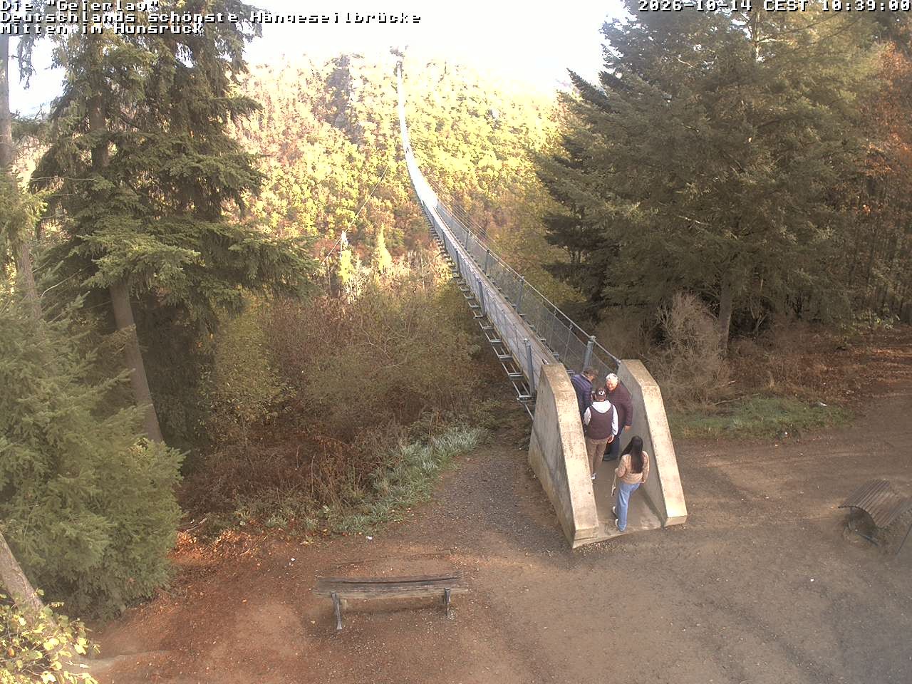 Archiv Foto Webcam Hängebrücke Geierlay bei Mörsdorf