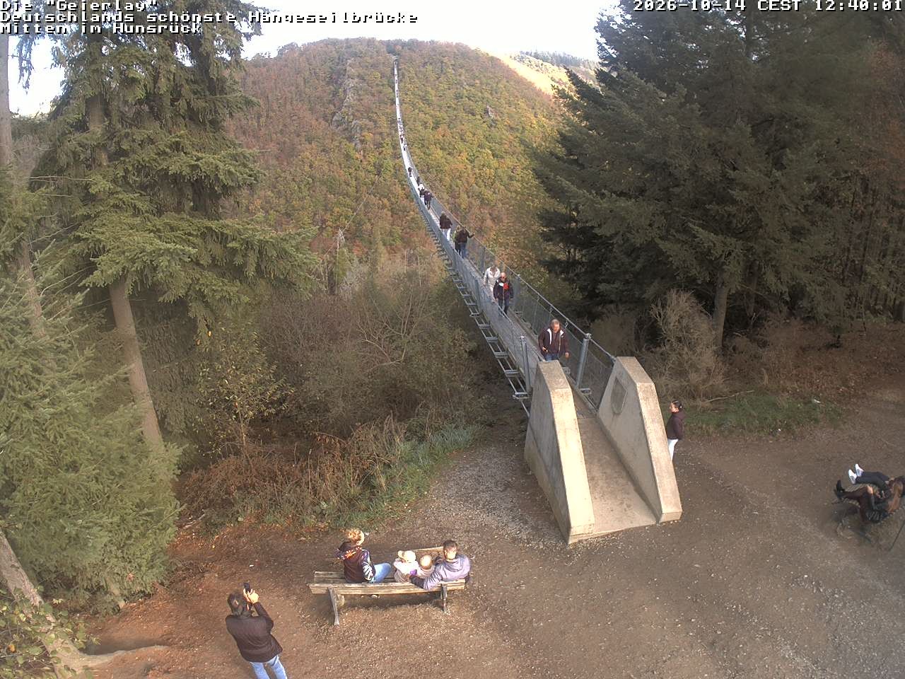 Archiv Foto Webcam Hängebrücke Geierlay bei Mörsdorf