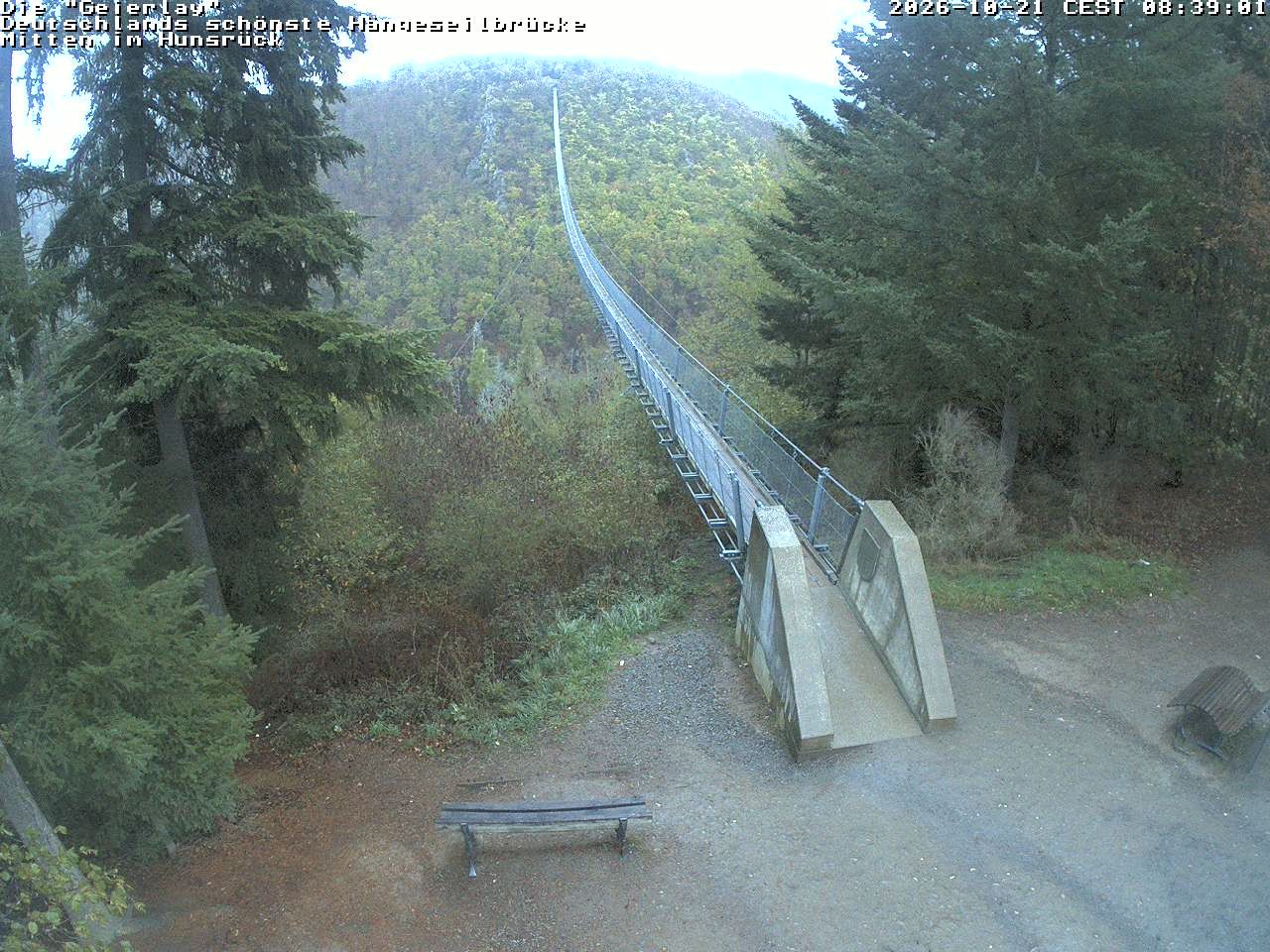 Archived image Webcam Geierlay Suspension Bridge Mörsdorf