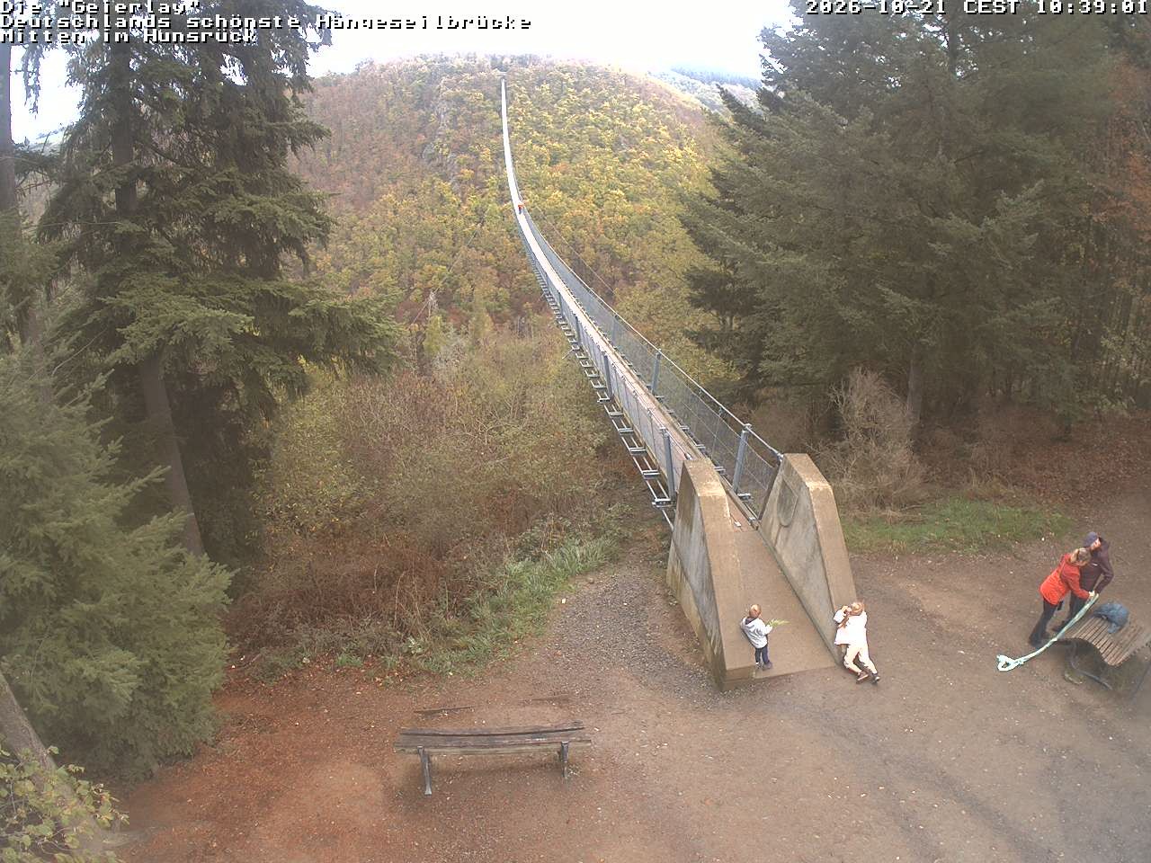 Archived image Webcam Geierlay Suspension Bridge Mörsdorf