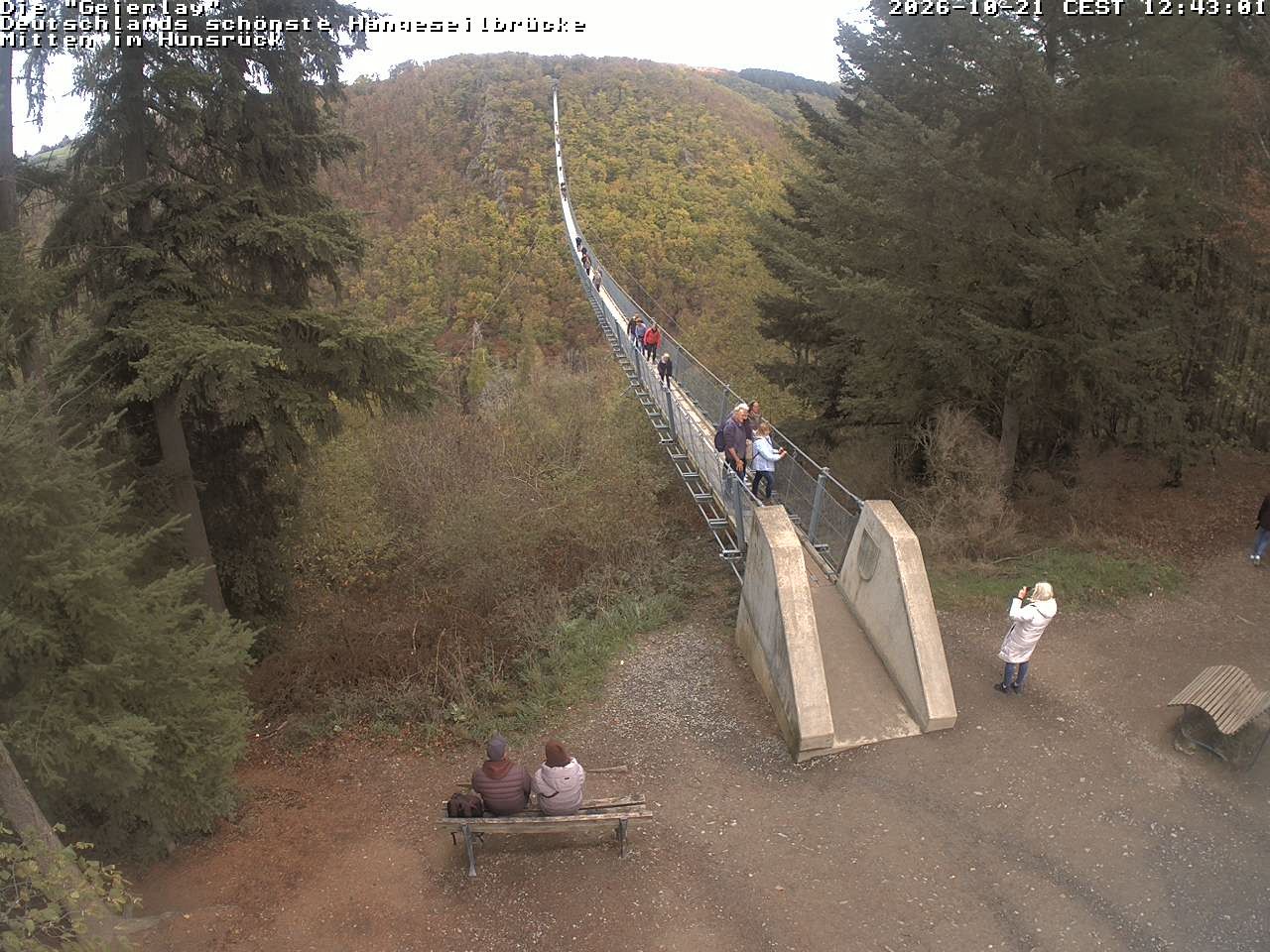 Archived image Webcam Geierlay Suspension Bridge Mörsdorf