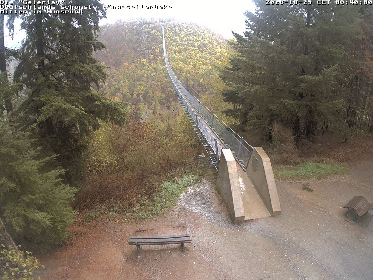 Archiv Foto Webcam Hängebrücke Geierlay bei Mörsdorf