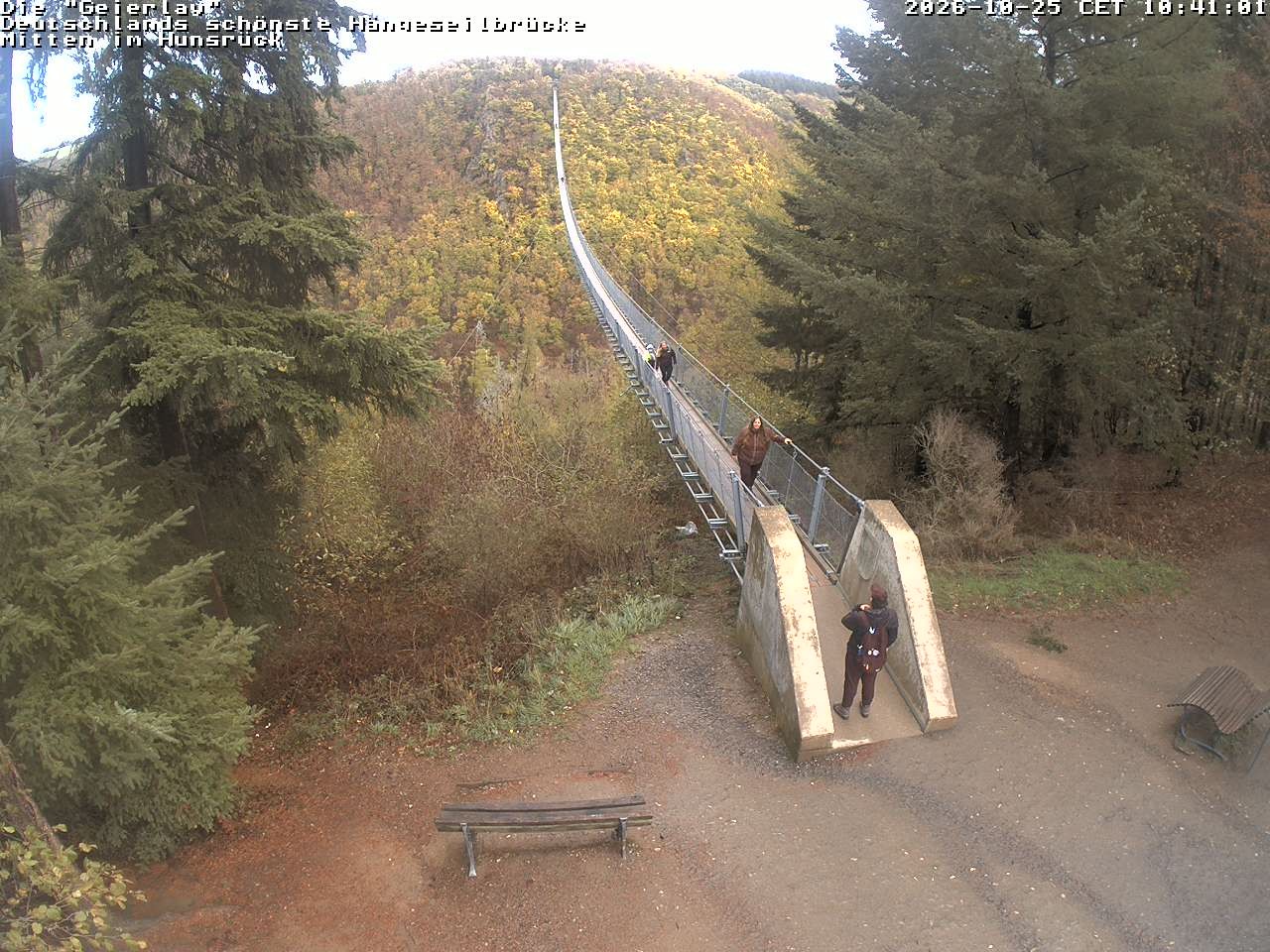 Archiv Foto Webcam Hängebrücke Geierlay bei Mörsdorf