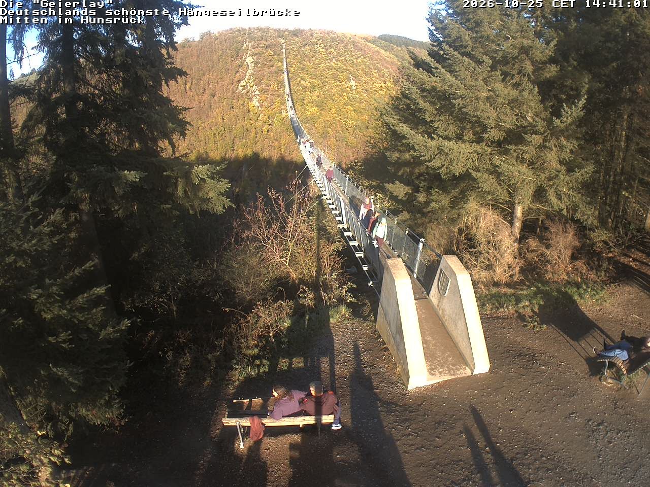 Archiv Foto Webcam Hängebrücke Geierlay bei Mörsdorf