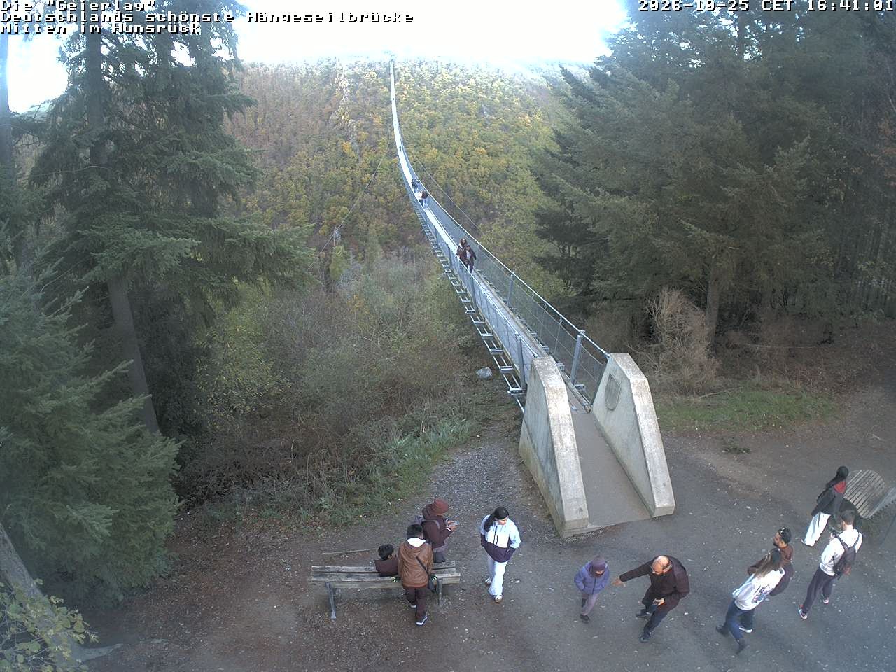 Archiv Foto Webcam Hängebrücke Geierlay bei Mörsdorf