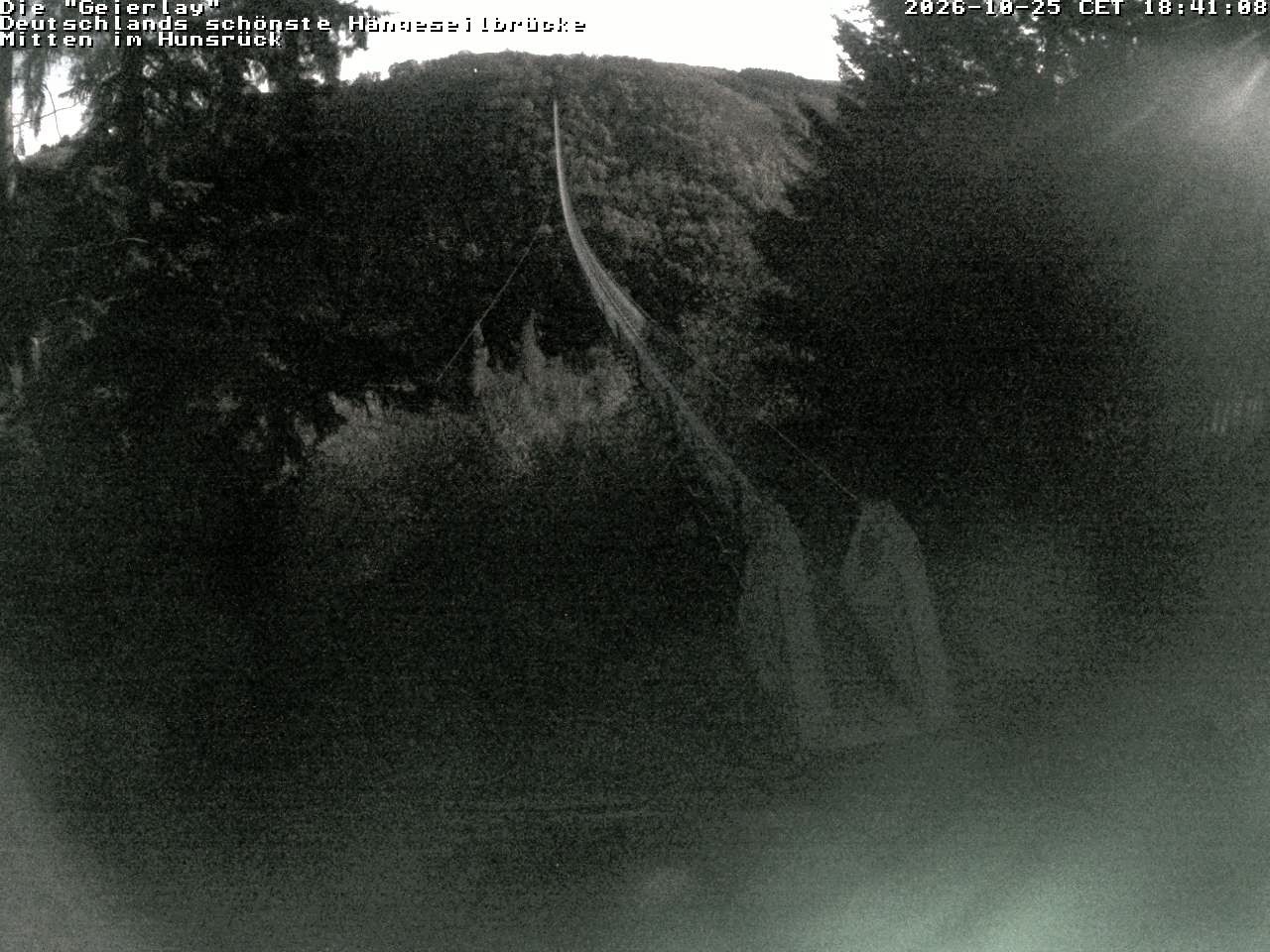 Archiv Foto Webcam Hängebrücke Geierlay bei Mörsdorf